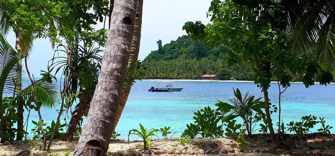 Nalu Mentawai Surf Dream Property - 2