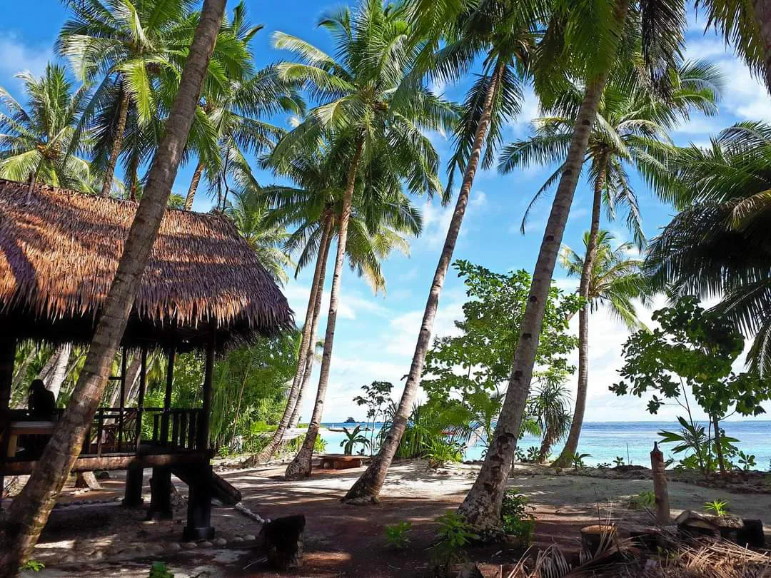 Nalu Mentawai Surf Dream Property - 4