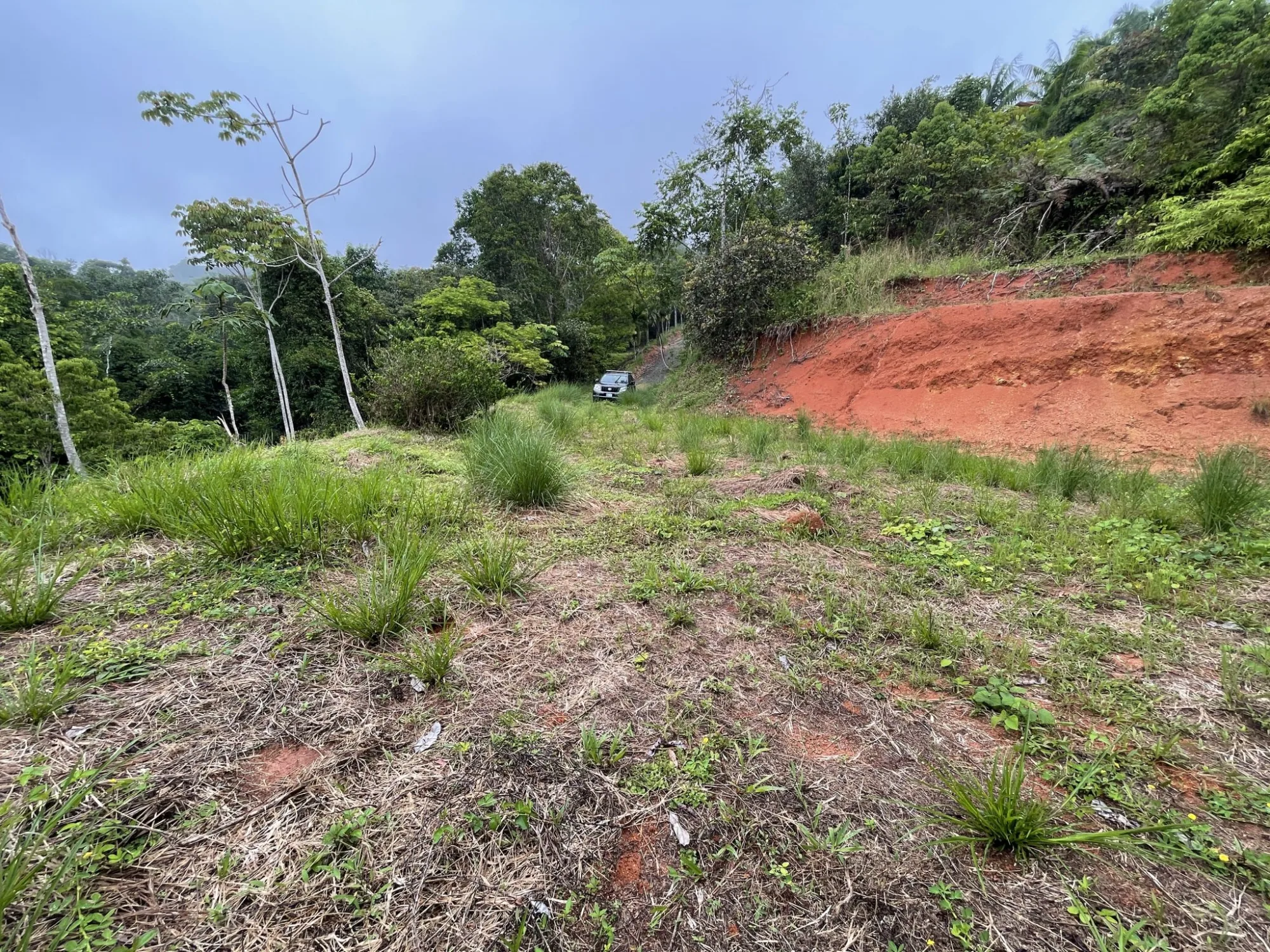 oceanview-lot-near-surf