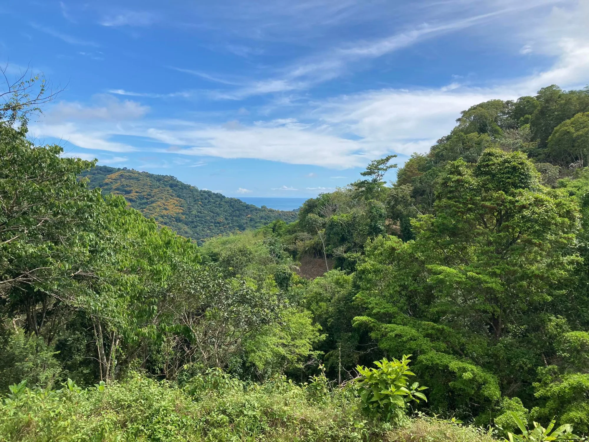 oceanview-lot-near-surf