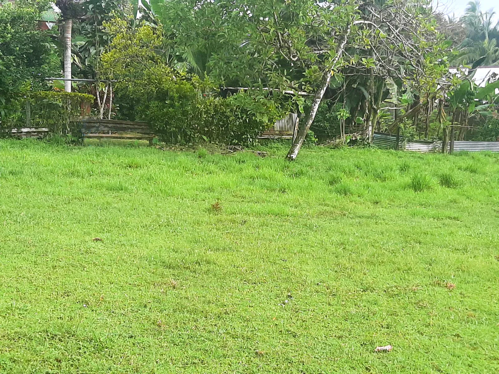Punta Banco Beach Property - 2