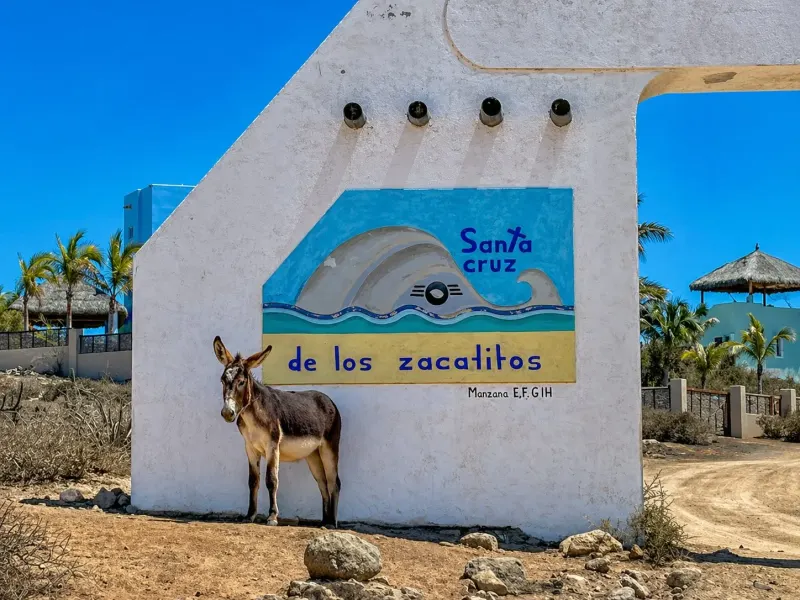 Zacatitos Beachfront Lot East Cape Los Cabos - 4