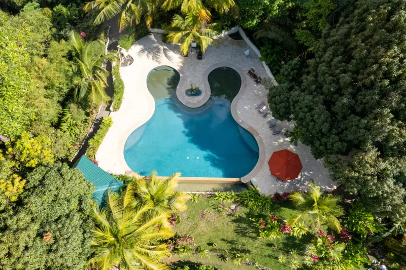 Ultimate Eco Lodge Laguna Vista Surrounded by Natural Lagoon on the Osa Peninsula thumbnail 1