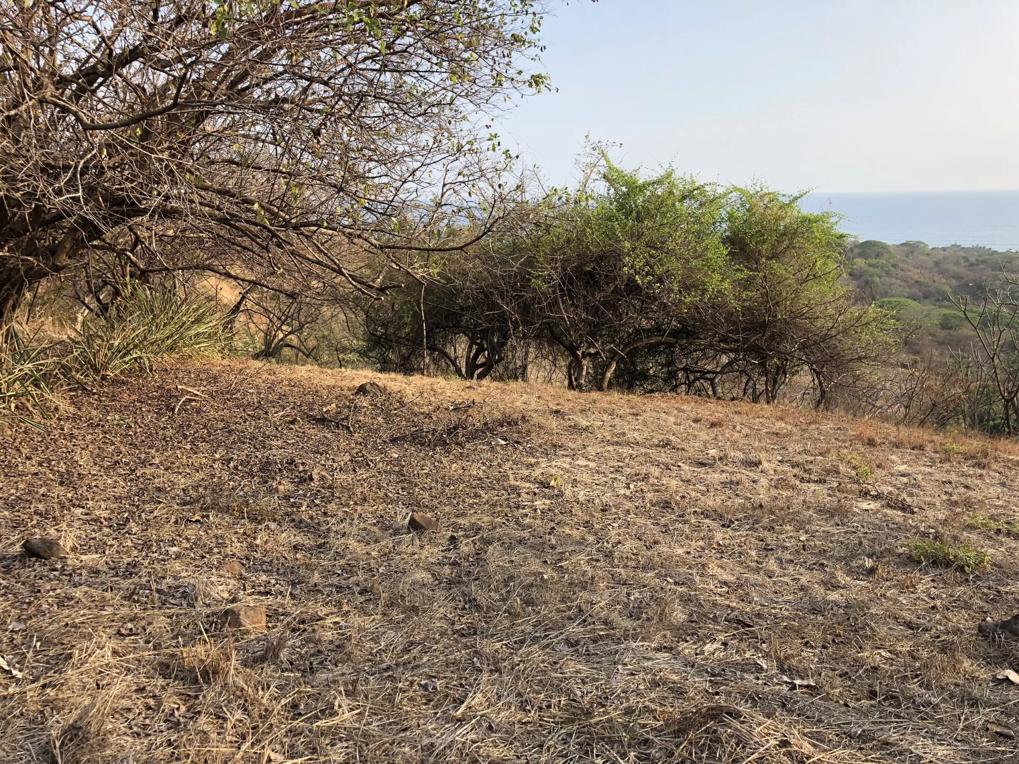 Tamanique Ocean View Lot - 3