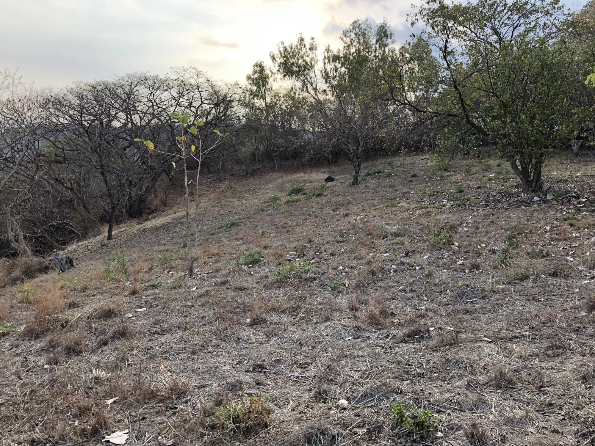 Tamanique Ocean View Lot - 4