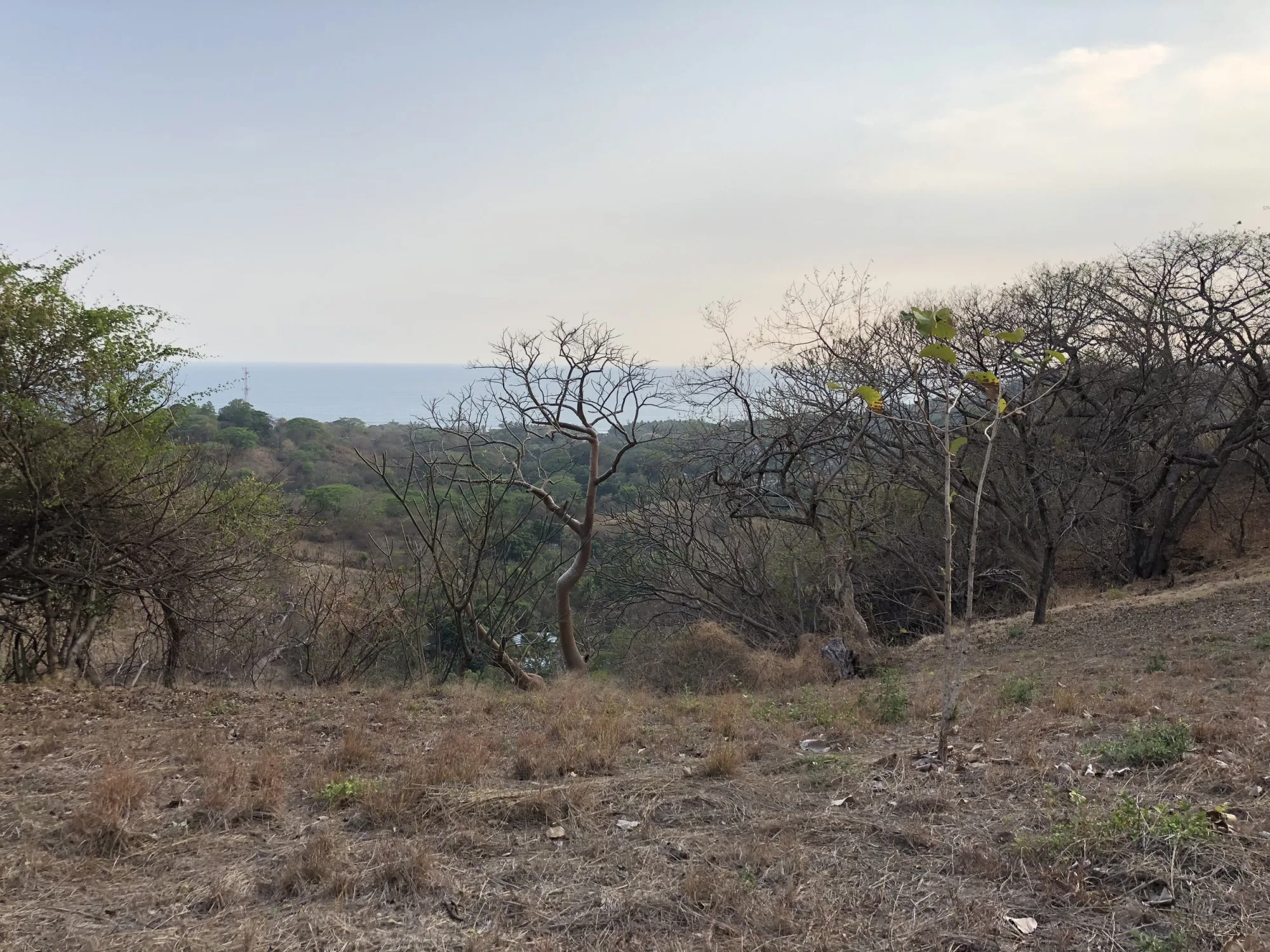 Tamanique Ocean View Lot - 5