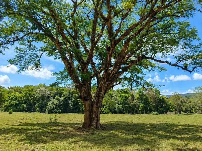 20 Hectares of Ocean View Land in Panama - 3