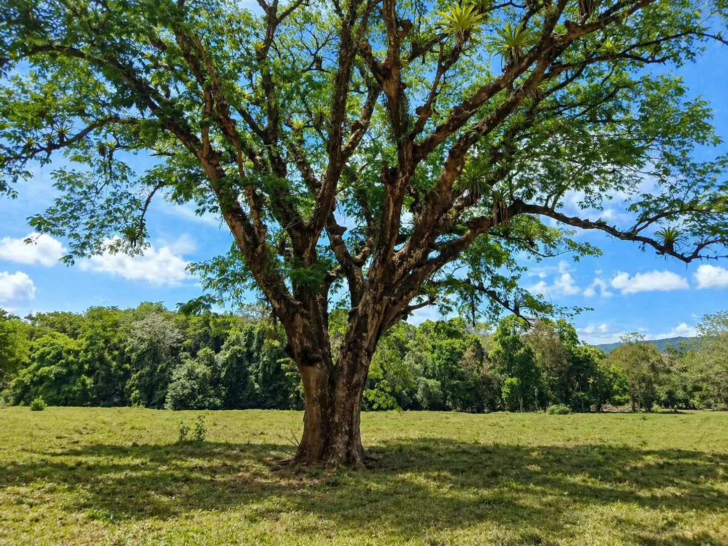 20 Hectares of Ocean View Land in Panama - 3