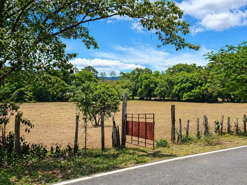 20 Hectares of Ocean View Land in Panama - 5