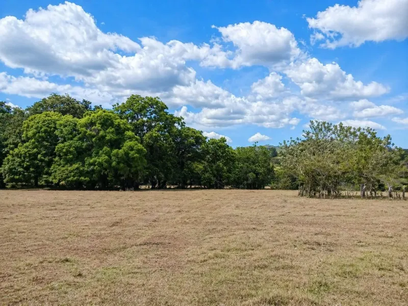 20 Hectares of Ocean View Land in Panama thumbnail 7