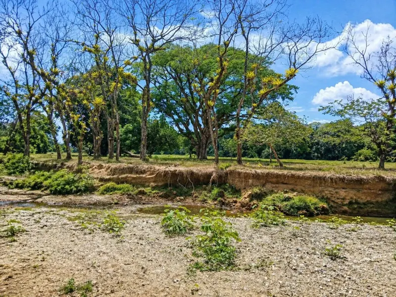 20 Hectares of Ocean View Land in Panama thumbnail 8