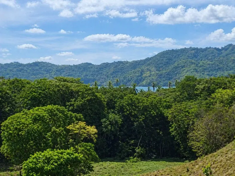 20 Hectares of Ocean View Land in Panama - 2