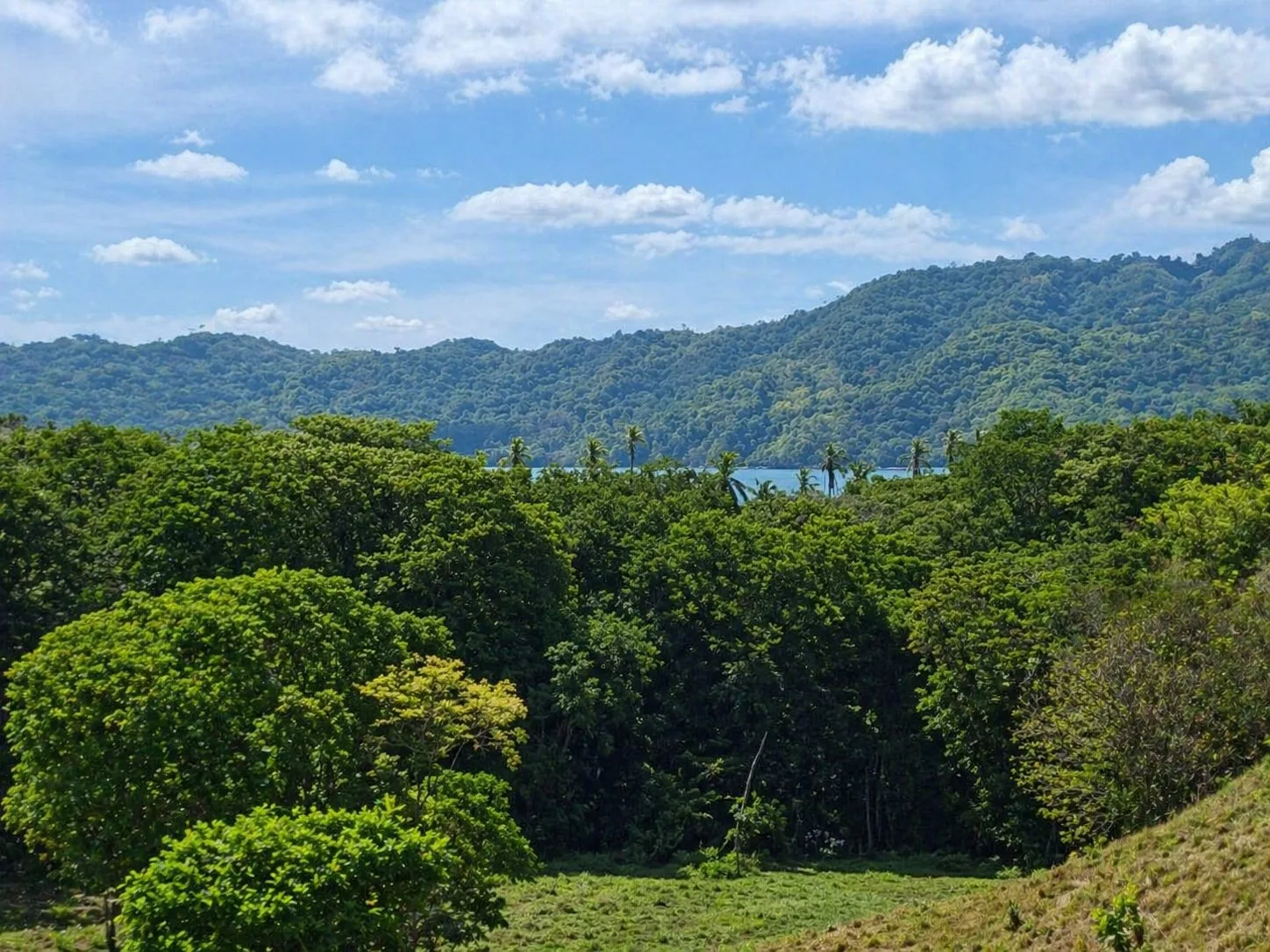20 Hectares of Ocean View Land in Panama - 2