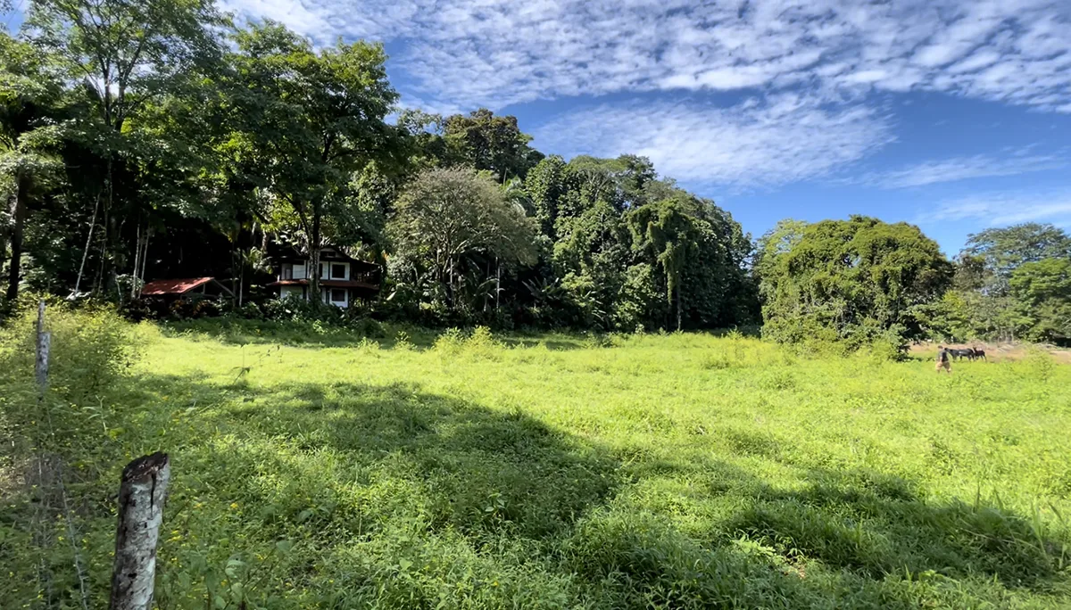 Pavones, Costa Rica