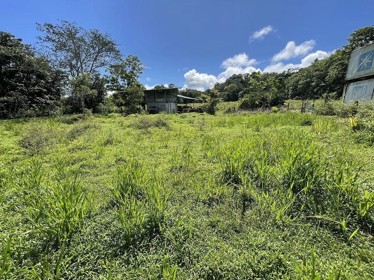 Pavones, Costa Rica