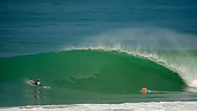 The Tree Playa Hermosa