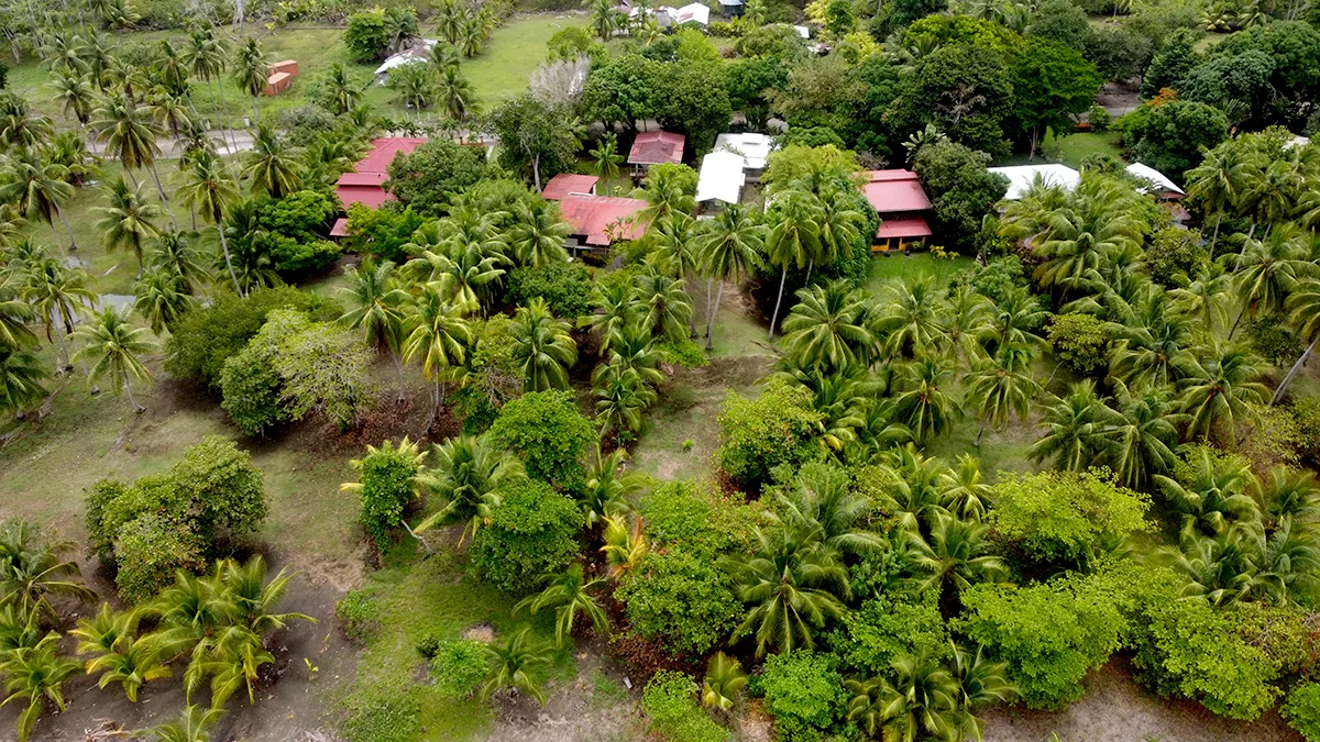 beach-house-for-sale