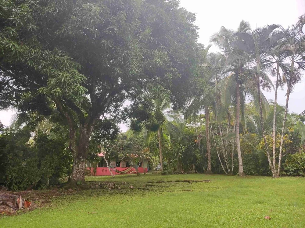 Pilon, Costa Rica