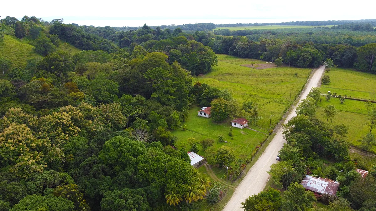 Casas Arbol Grande - 5