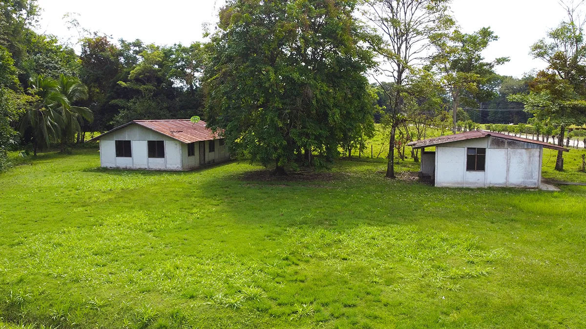 Casas Arbol Grande - 4