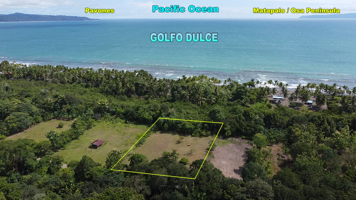 Langostino Beach Lot • Costa Rica - 3