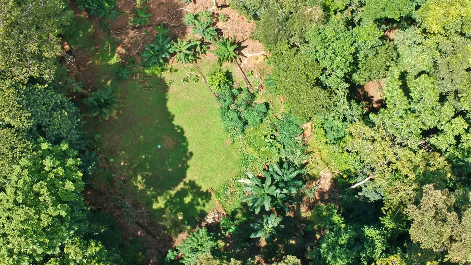 pavones-2-hectares-with-creek