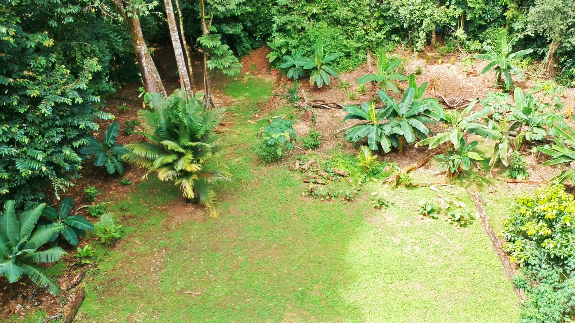 pavones-2-hectares-with-creek