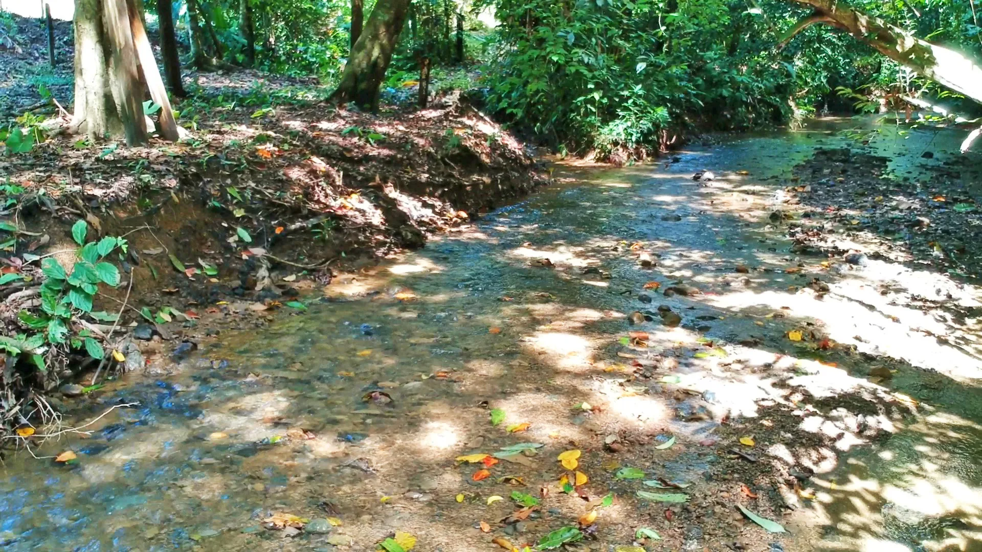 pavones-2-hectares-with-creek