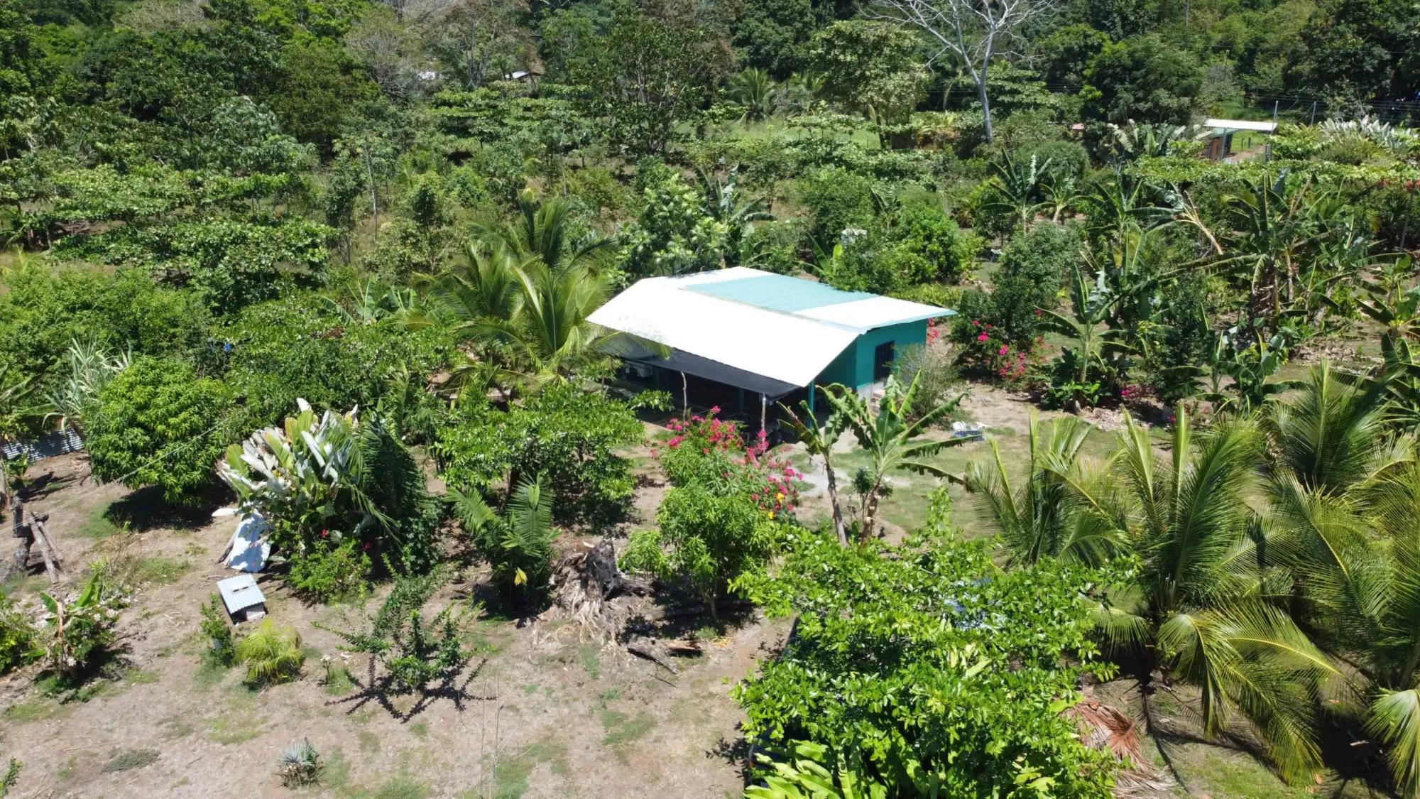 Finca Cacao Pavones - 3