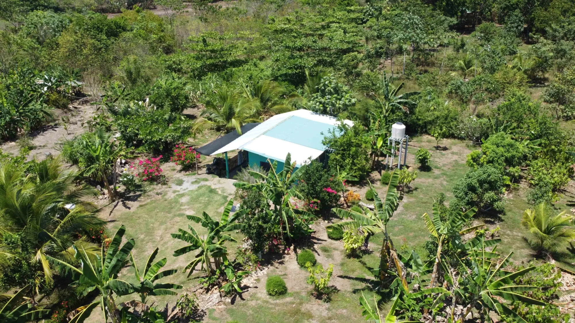 Finca Cacao Pavones - 5