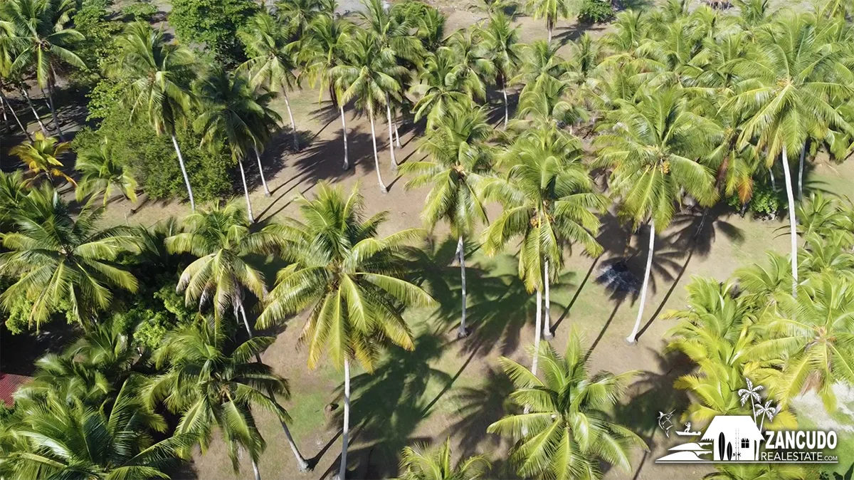 playa-zancudo-wide-beach-lot-for-sale