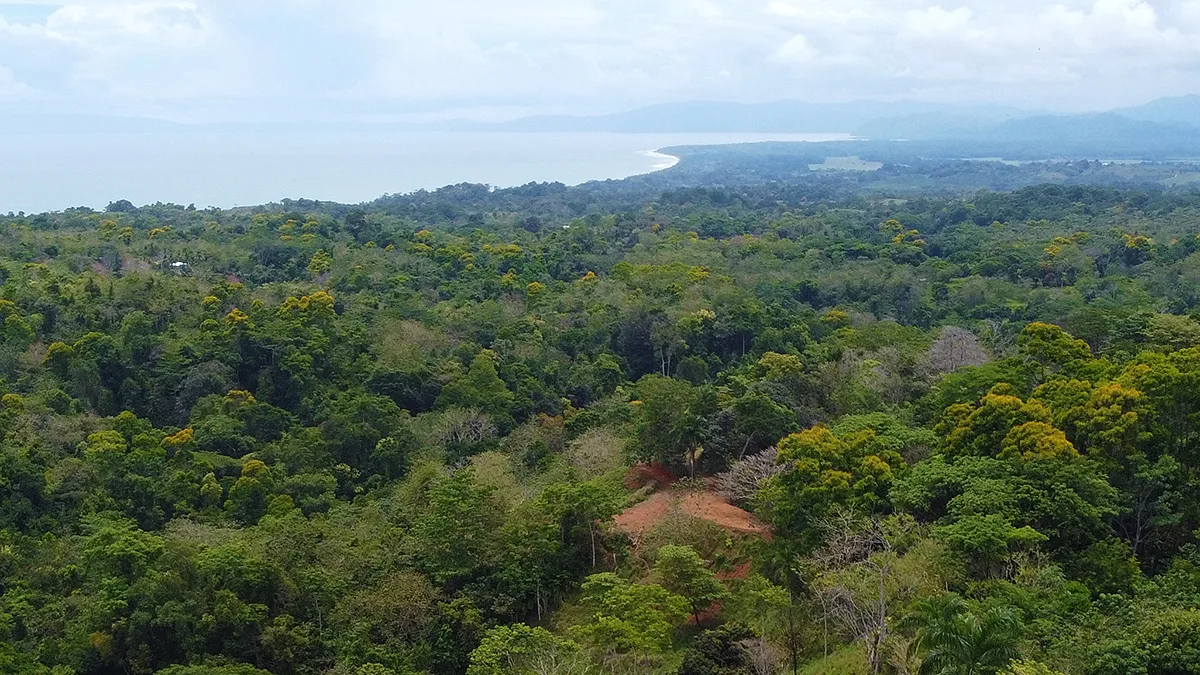 Cuervito, Costa Rica