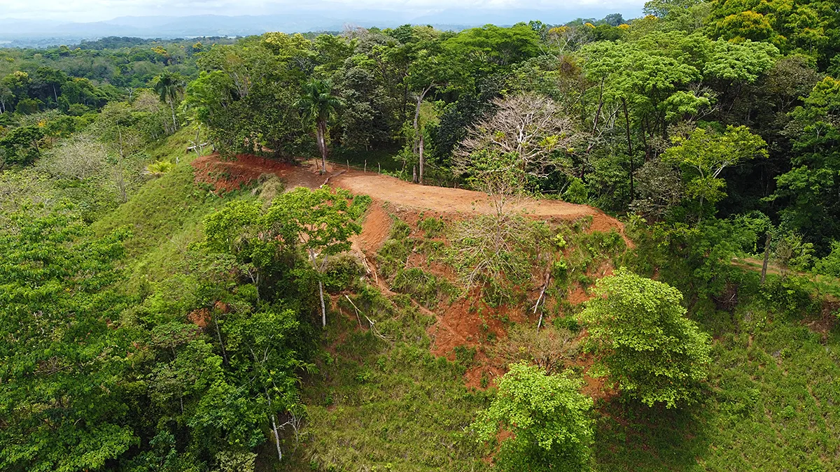 Cuervito, Costa Rica