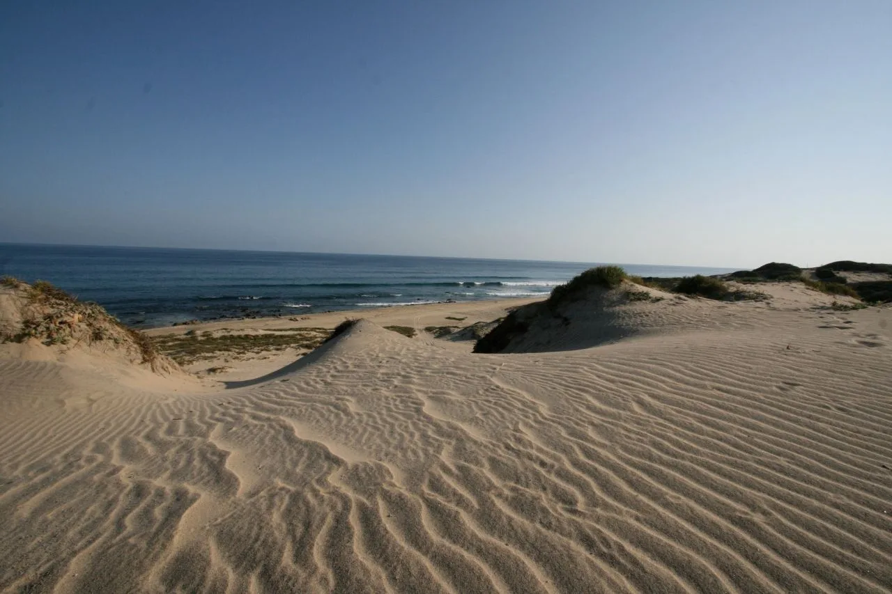 East Cape, Mexico
