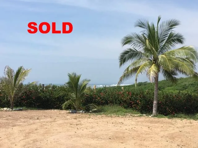 Palo Alto, Mexico