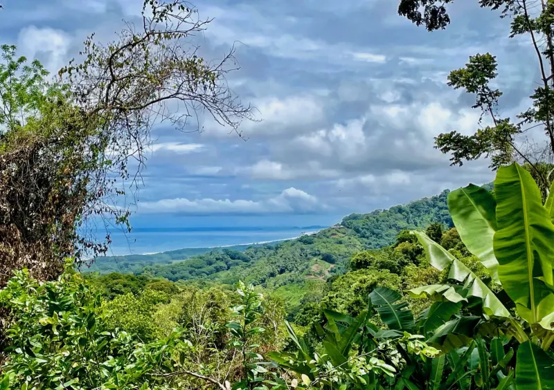6.9 Acres Ocean View of Manuel Antonio - 3