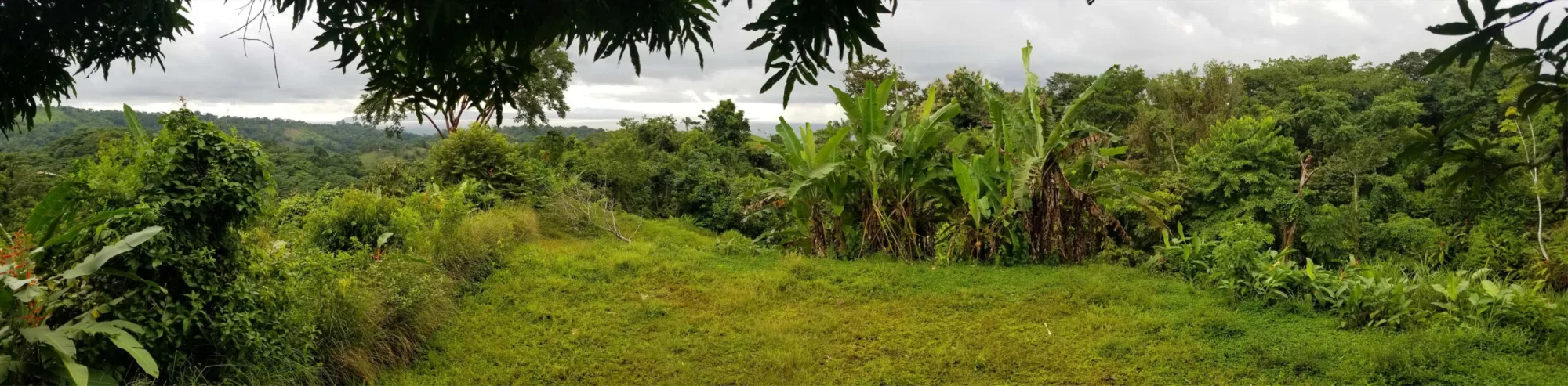 Golfo Dulce Oceanview Lot - 2