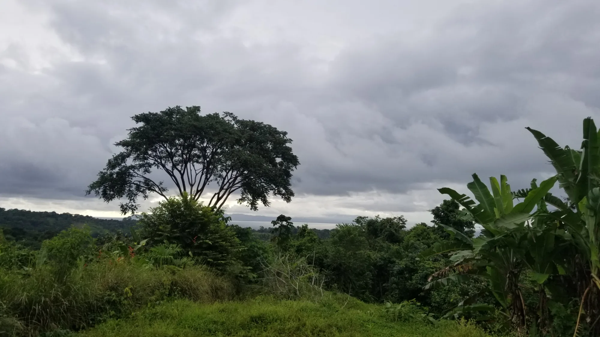 Golfo Dulce Oceanview Lot - 3