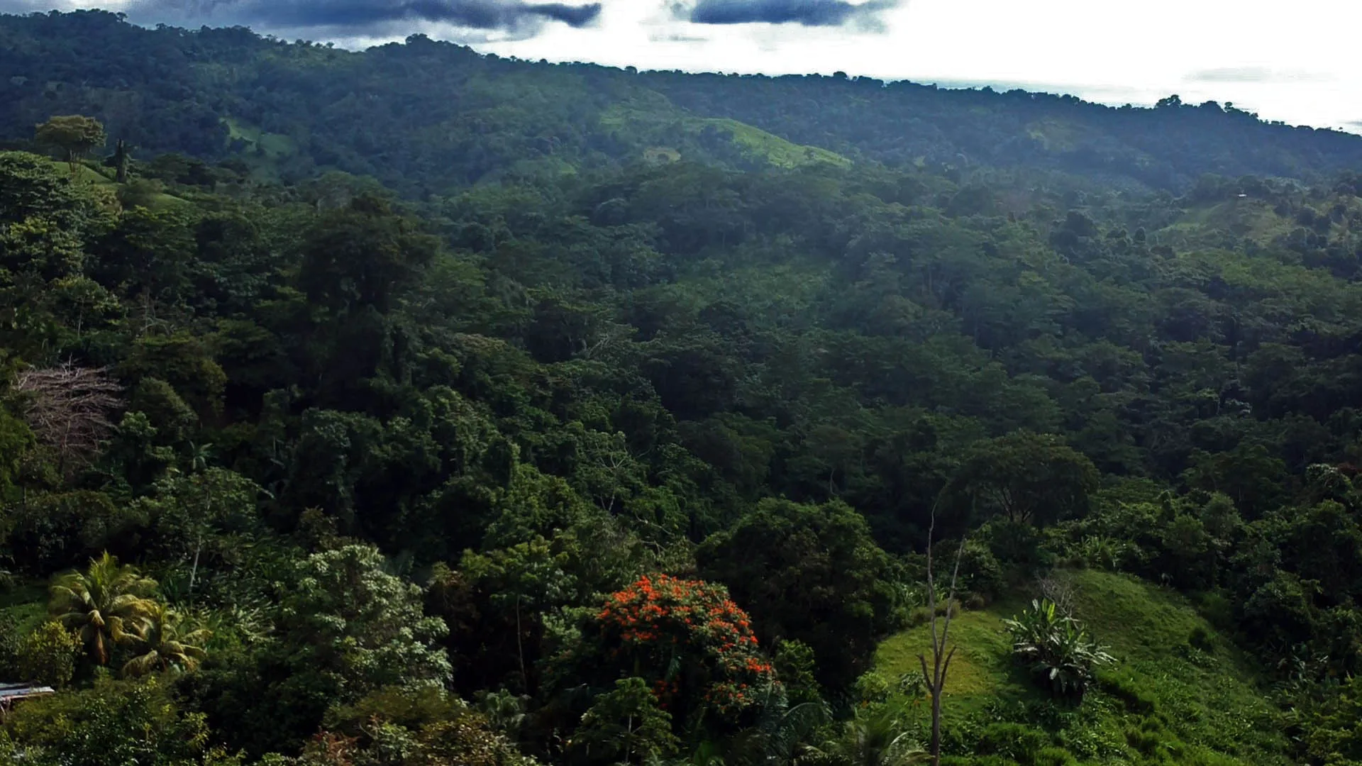 Golfo Dulce Oceanview Lot - 4