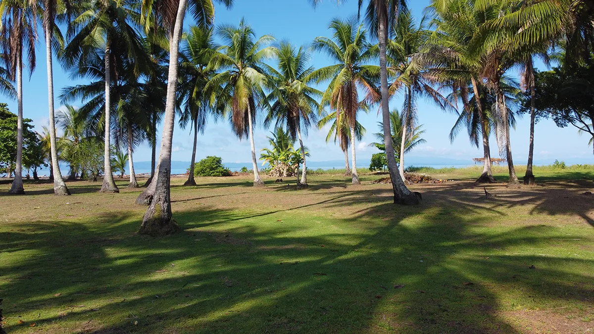 playa-zancudo-beachfront-lot-for-sale