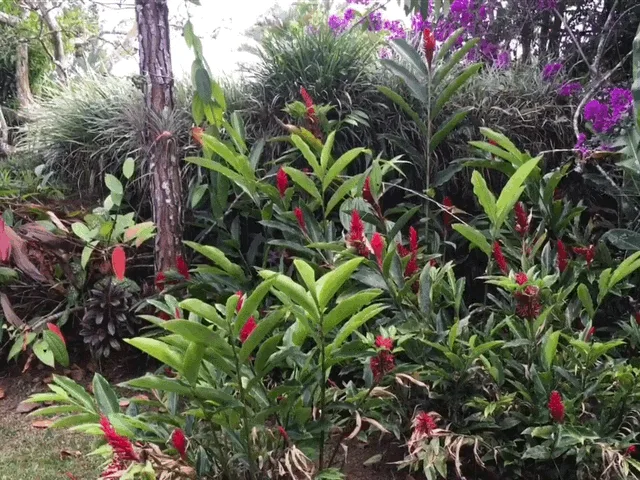 San Vito Garden Estate - 5