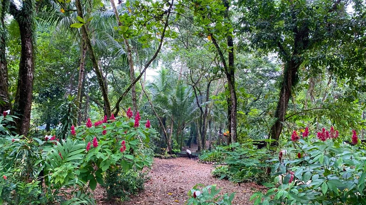playa-zancudo-lot-for-sale