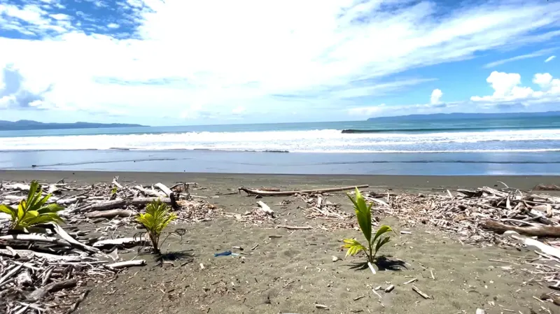Playa Zancudo, Costa Rica