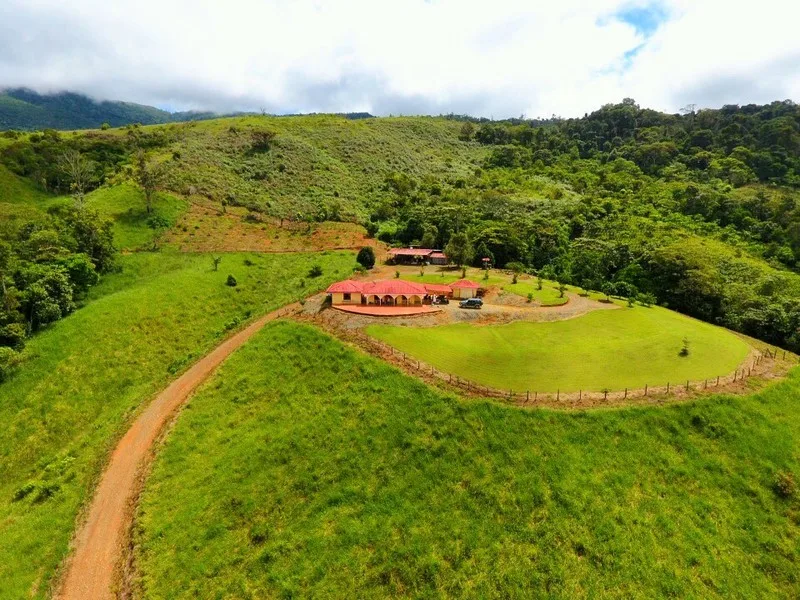 Income Producing 260 Acre Farm