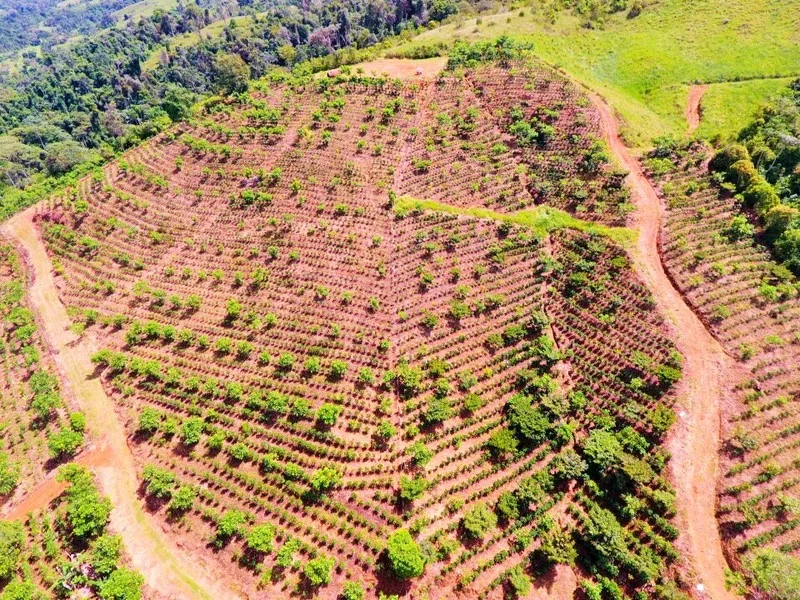 Income Producing 260 Acre Farm - 4