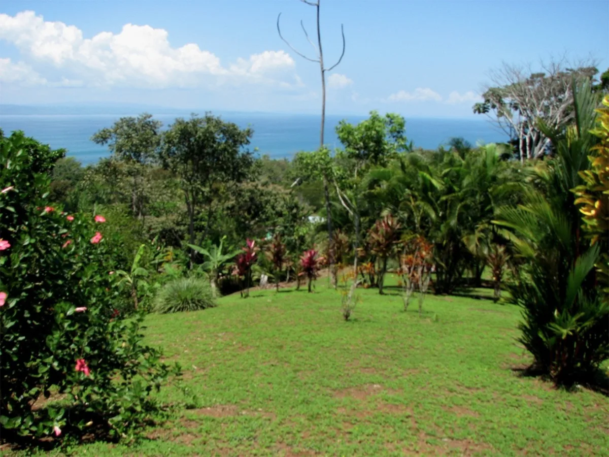 Pavones, Costa Rica