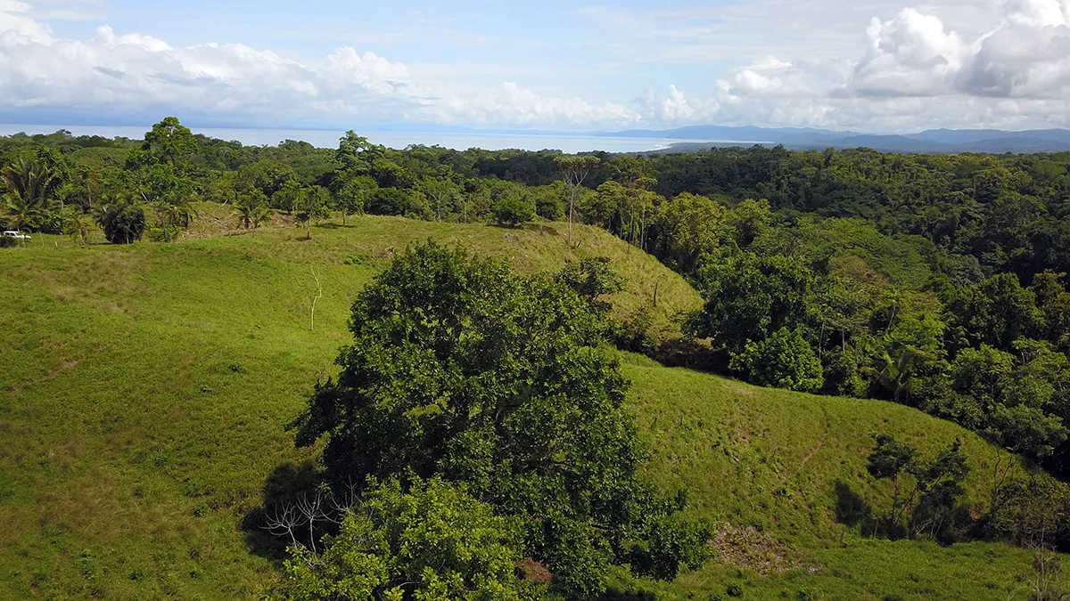 Cuervito, Costa Rica