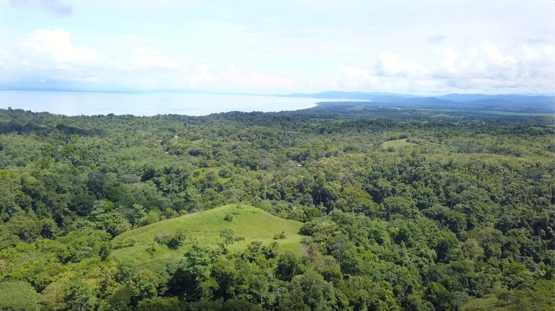Cuervito, Costa Rica