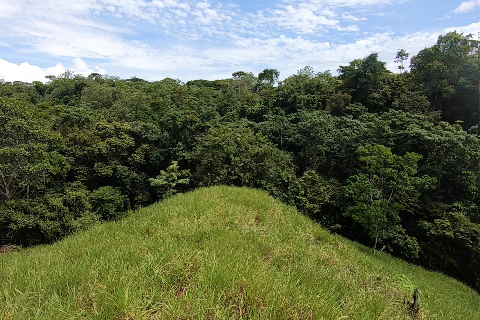 vista-dulce-cuervito-pavones-20-acre-finca