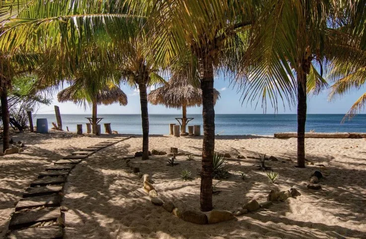 buena-onda-surf-resort